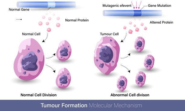 common-genetic-mutations-in-different-cancers