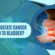 Can Prostate Cancer Spread To Bladder